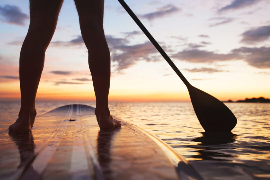 Paddle